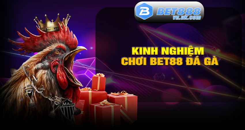 Kinh nghiệm chơi BET88 Đá Gà thắng lớn
