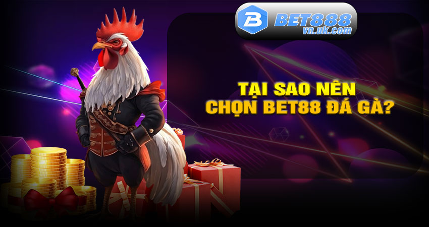 Tại sao nên chọn BET88 Đá Gà?